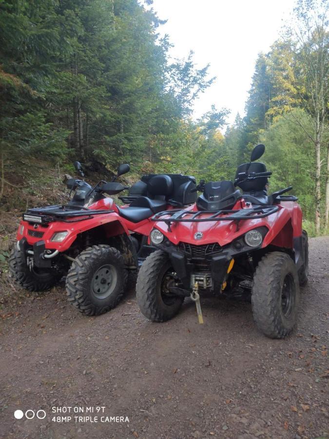 Mountain House Tara Apartmani Nikolic Kaludjerske Bare Luaran gambar