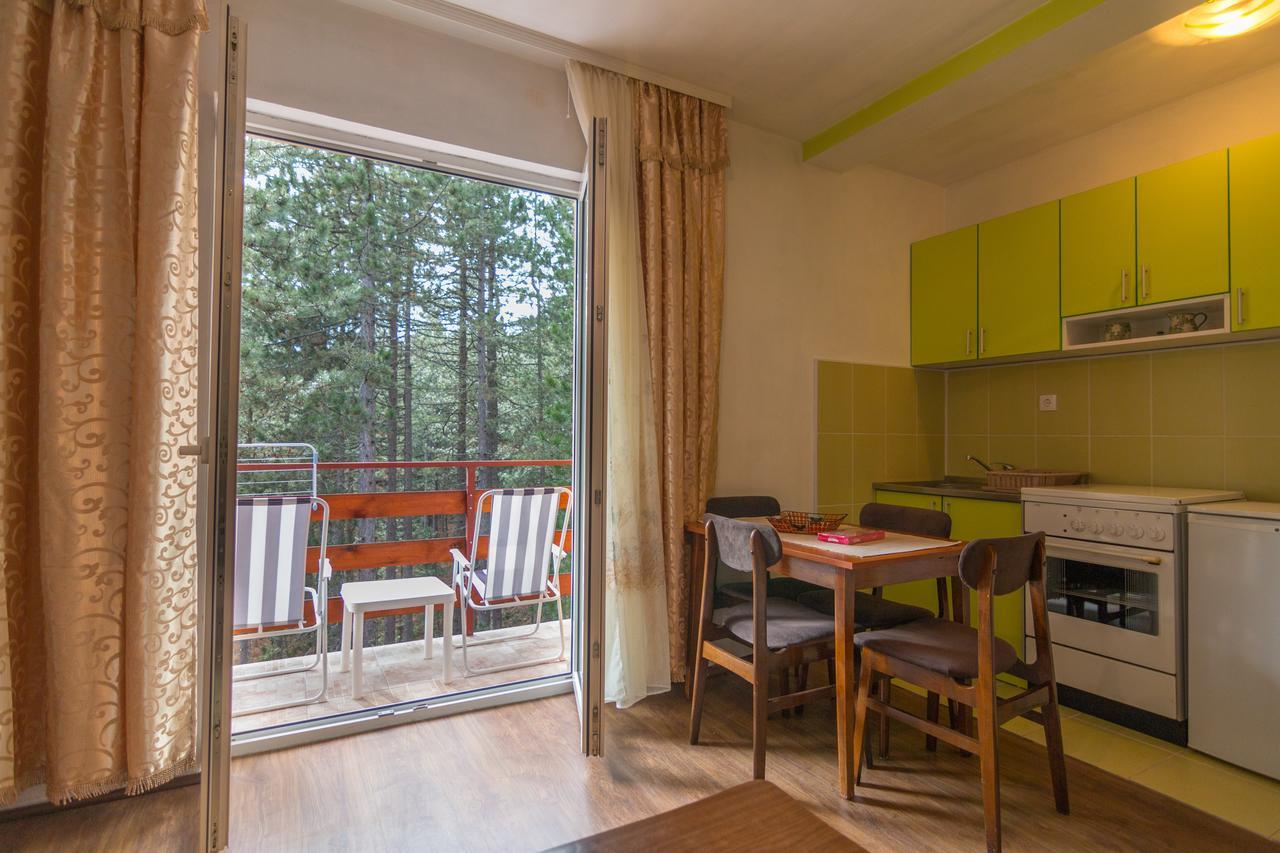 Mountain House Tara Apartmani Nikolic Kaludjerske Bare Luaran gambar